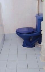 Blk 40 Circuit Road (Geylang), HDB 3 Rooms #573151651